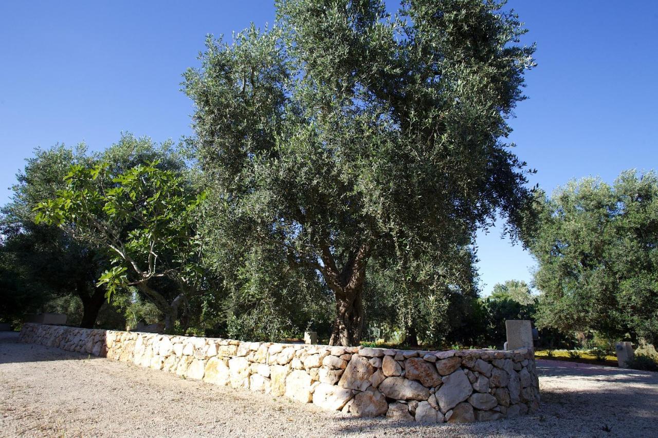 גלטונה I Giardini Di Demetra B&B מראה חיצוני תמונה